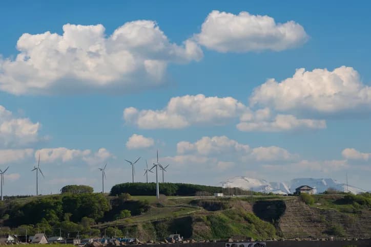 대기환경보전법 위반한 Y사