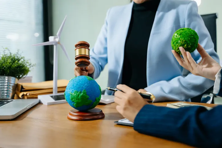 해상풍력법 시행 시사점 및 실무 대응