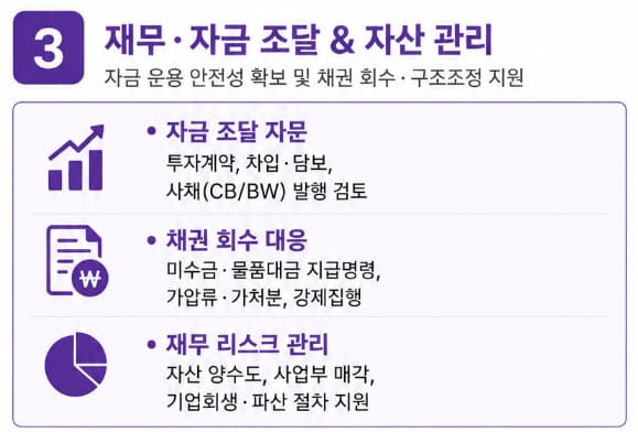 경영관리·인사관리 자문 중 재무, 자금 조달 및 자산 관리 자문